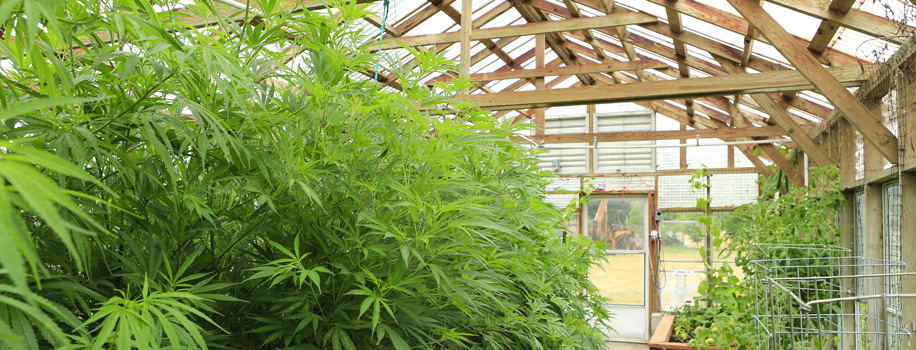 Security Solutions for Apartments in Southern Florida,  FL